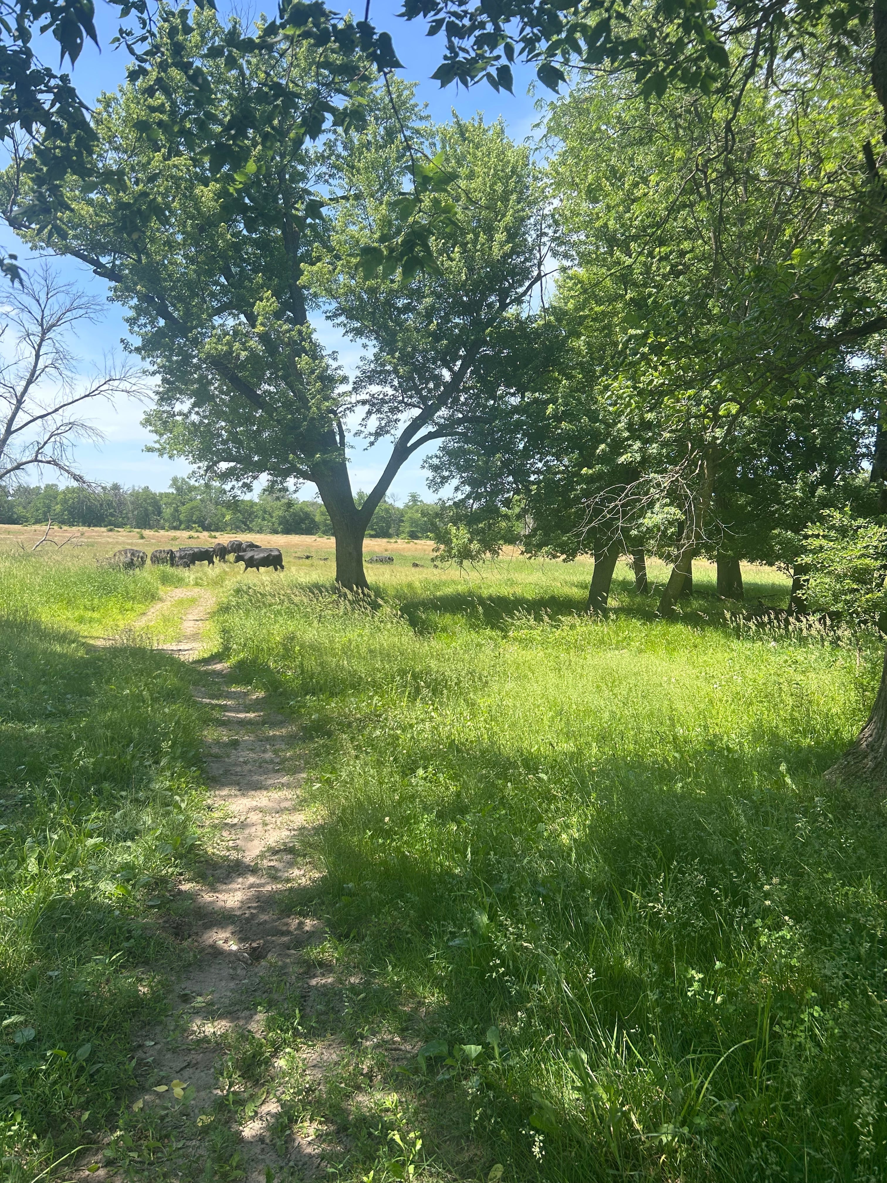 What "Fresh From the Farm" Means to Us