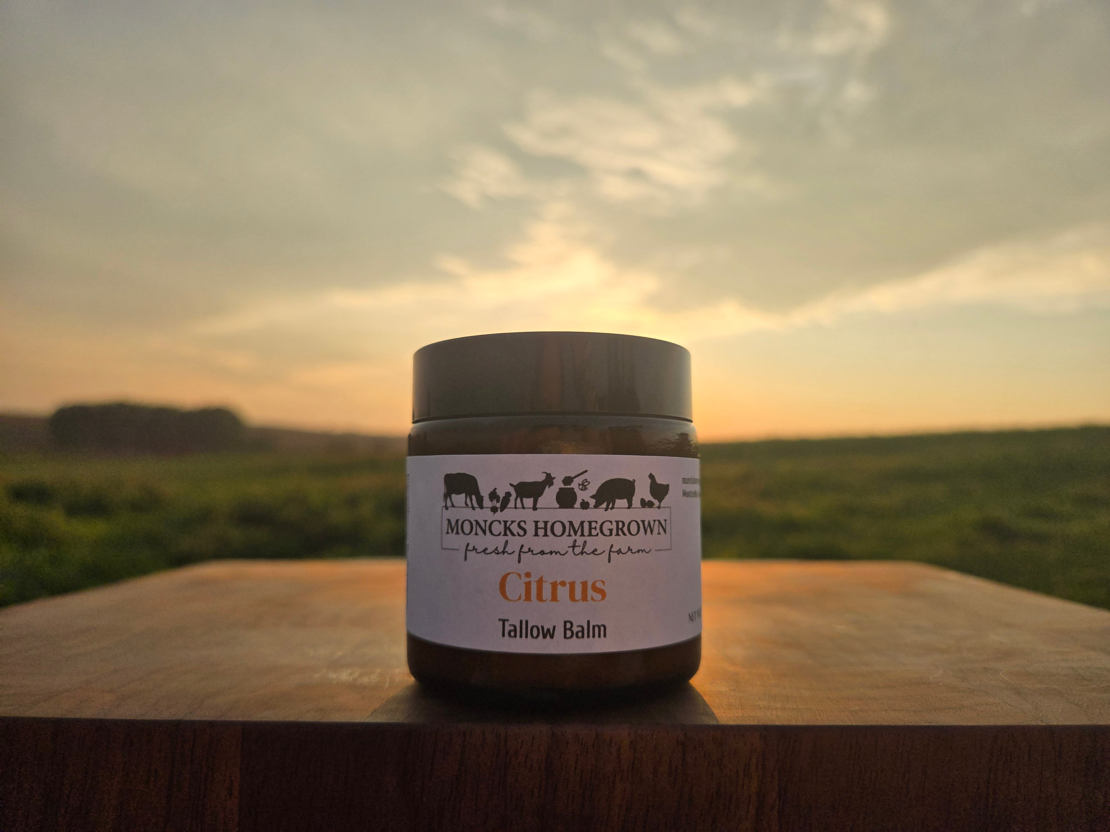 Citrus Tallow Balm