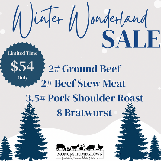 Winter Wonderland Sale